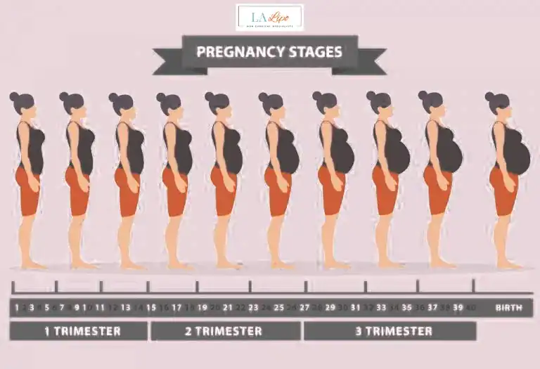 First Trimester (Weeks 1–12): Early Changes You Might Not Notice South Yardley